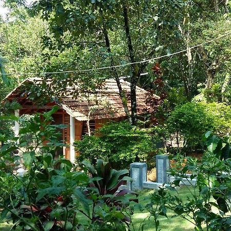 Leisure Vacations Whispering Woods Madikeri Ngoại thất bức ảnh