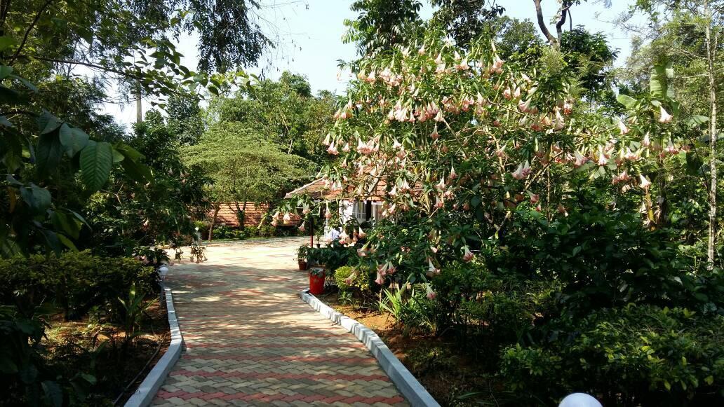 Leisure Vacations Whispering Woods Madikeri Ngoại thất bức ảnh