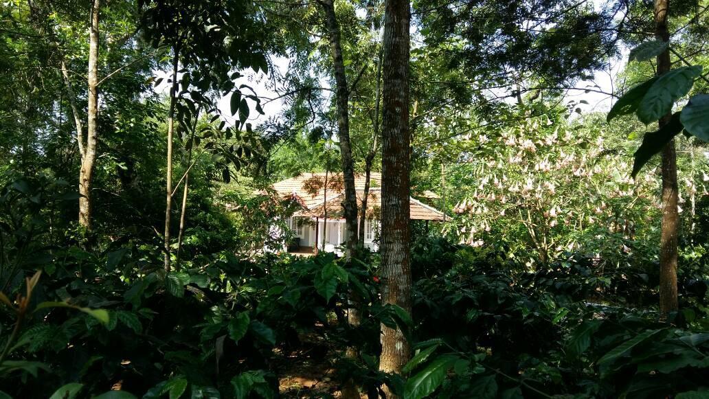Leisure Vacations Whispering Woods Madikeri Ngoại thất bức ảnh