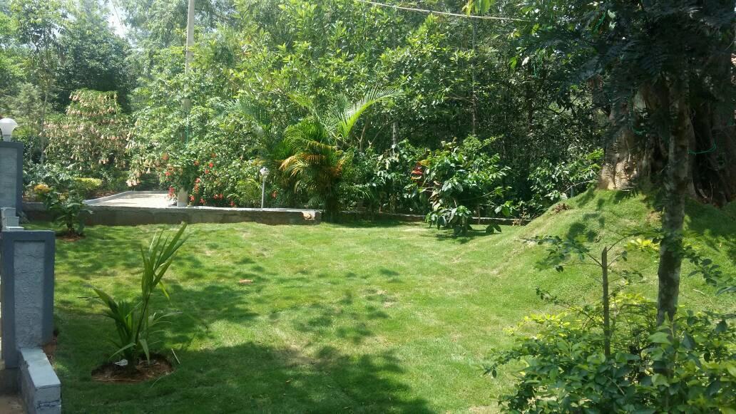 Leisure Vacations Whispering Woods Madikeri Ngoại thất bức ảnh